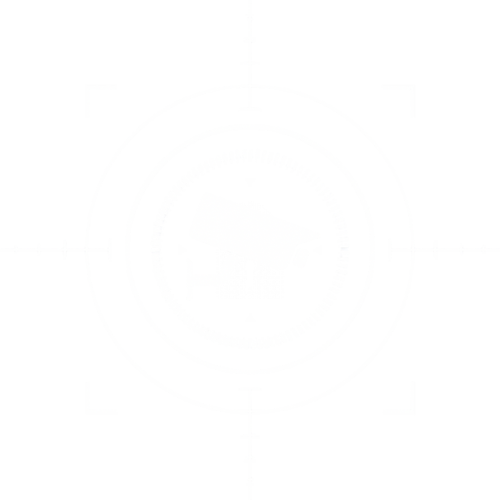 white circular target-style header graphic